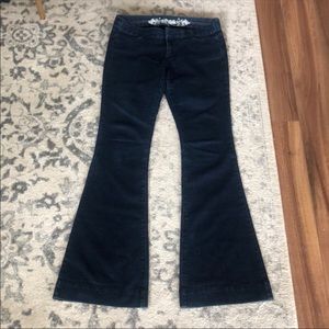 Express jeans